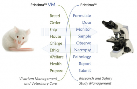 Xybion Preclinical Research Platform_Page_5_image